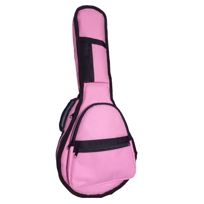 Funda Mandolina / Banjo Premiun Mochila Extra Acolchada