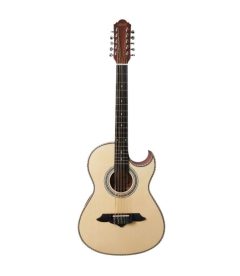 Bajo quinto electroacústico 10 cuerdas con funda AF16CE-10C