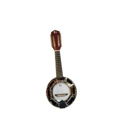 Banjo 10 cuerdas con funda Rowell YWBJ-10