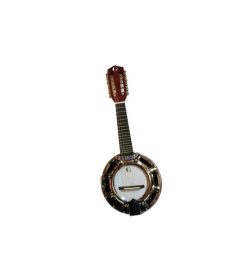 Banjo electroacústico 10 cuerdas con funda Rowell YWBJ-10EL