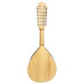 Mandolina 12 cuerdas Verona Tradicional Electroacústica – vista 2