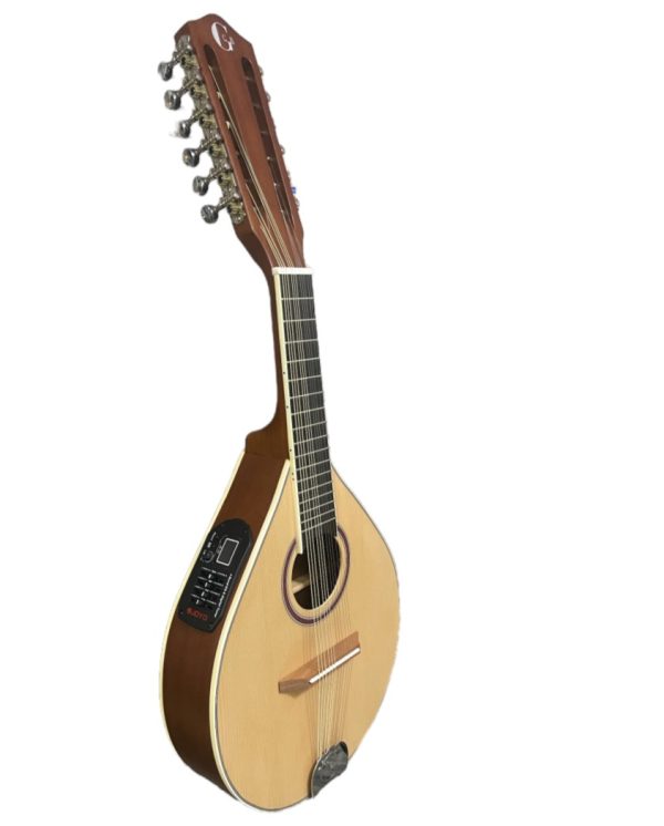 mandolina 12 gcr