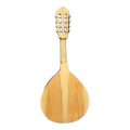 mandolina 8 acustica trasera
