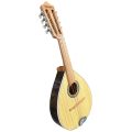 mandolina 8 acustica - verona