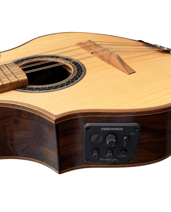 mandolina-capsula Mandolina 12 cuerdas Verona Doble Cutaway Electroacústica – vista 4