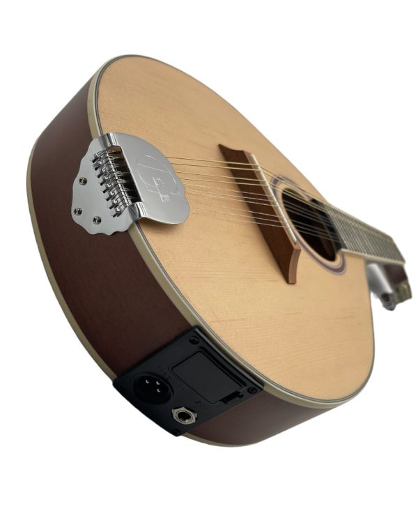 mandolina gcr electro 2 Mandolina GCR electroacústica 12 Cuerdas – vista 3