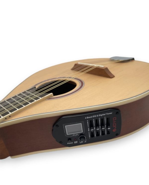 mandolina gcr electro Mandolina GCR electroacústica 12 Cuerdas – vista 2