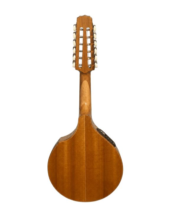 mandolina2