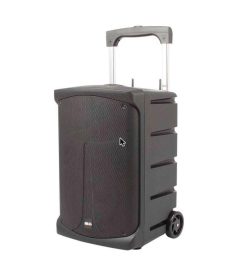 Parlante recargable BLG 10 100W con 2 micrófonos UHF