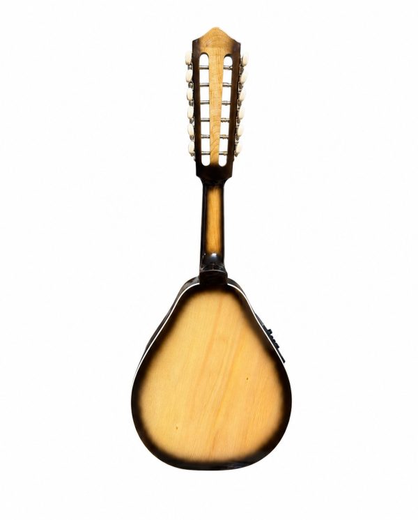 mandolina-12-cuerdas-verona-perita-sunburst-trasera Mandolina 12 cuerdas electroacústica Verona Perita Sunburst, fondo de raulí