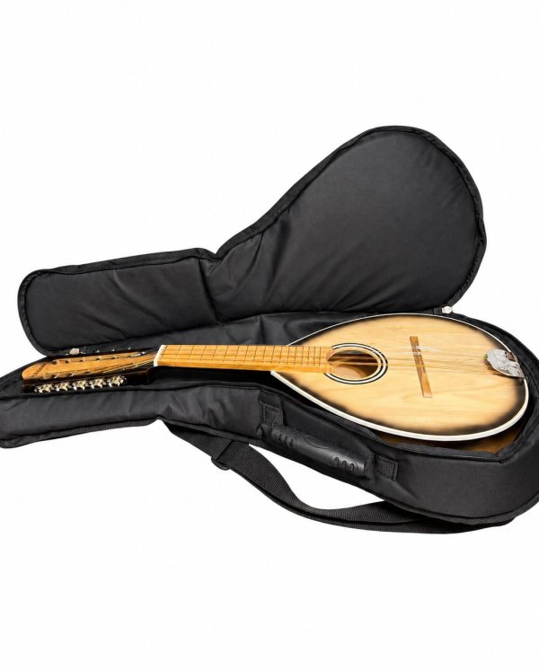 catalogo_231217 Funda para mandolina y banjo negra con gris extra acolchada 15 mm con mandolina en su interior