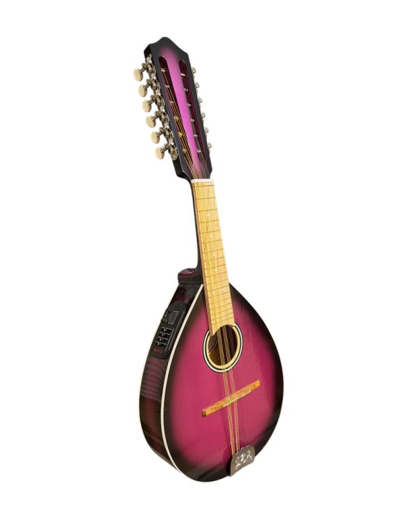 mandolina1_catalogo Mandolina 12 cuerdas Verona Electroacústica Sunburst Burdeo – frente