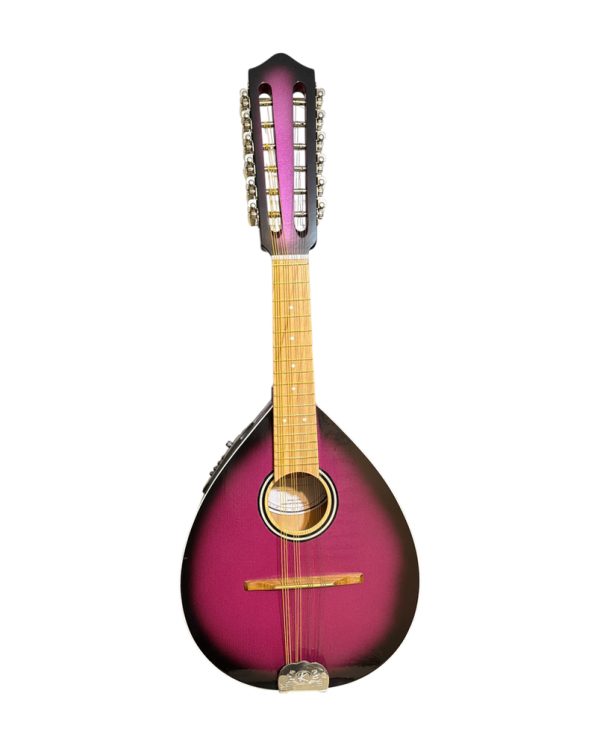 mandolina2_catalogo Mandolina 12 cuerdas Verona Electroacústica Sunburst Burdeo – vista lateral