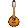 sunburst-frontal