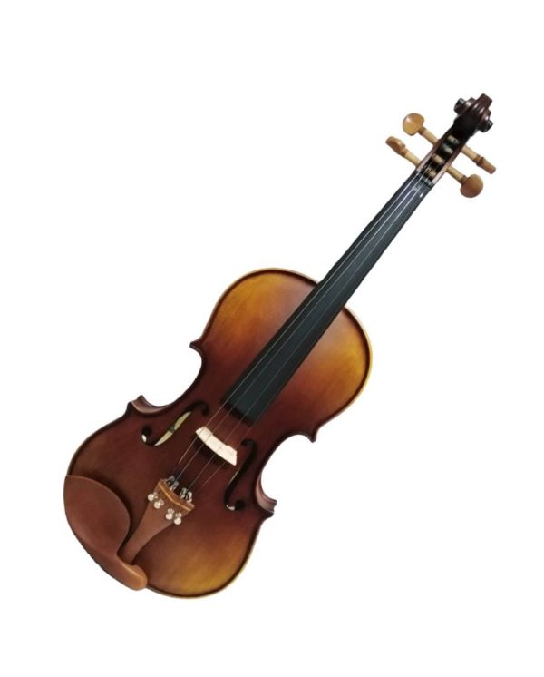 Violín profesional 4/4 de madera V-LUJO4-4 1 Violín profesional 4/4 de madera V-LUJO4-4