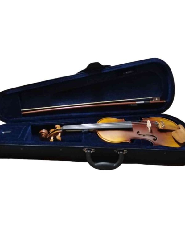 Violín profesional 4/4 de madera V-LUJO4-4 4 Violín profesional 4/4 de madera V-LUJO4-4